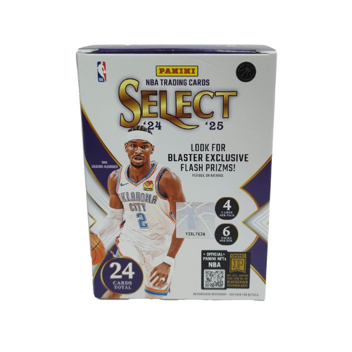 Panini Select Basketball 2025 Blaster