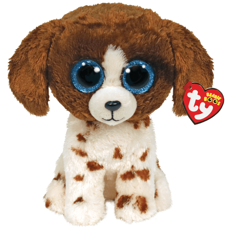 MUDDLES BROWN AND WHITE DOG REGULAR
