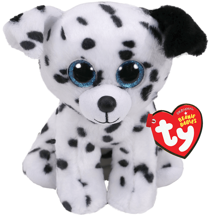 CATCHER SPOTTED DALMATIAN REGULAR