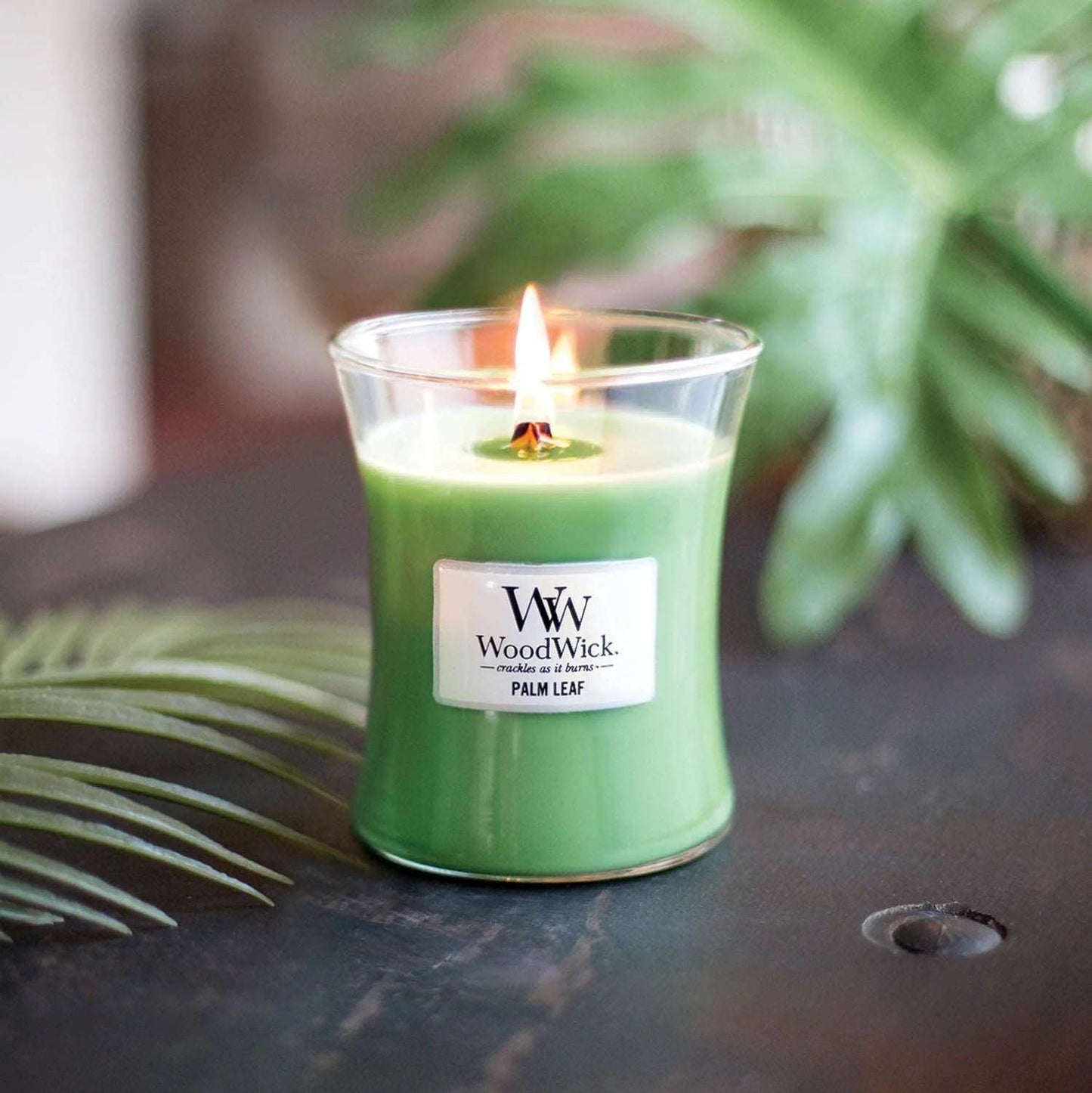 WoodWick Palm Leaf Medium Candle