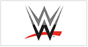 WWE Trading Cards