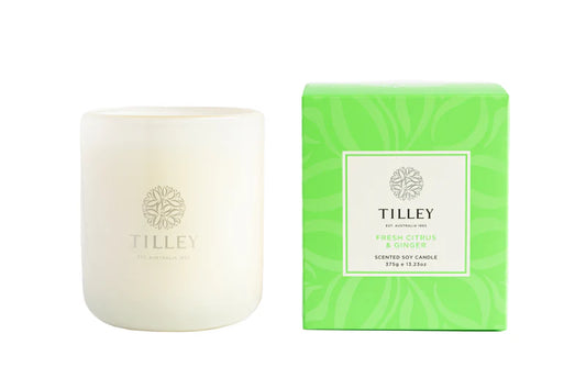 Fresh Citrus & ginger candle 375gm  Tilley