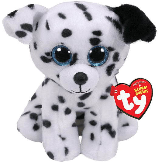 CATCHER SPOTTED DALMATIAN REGULAR